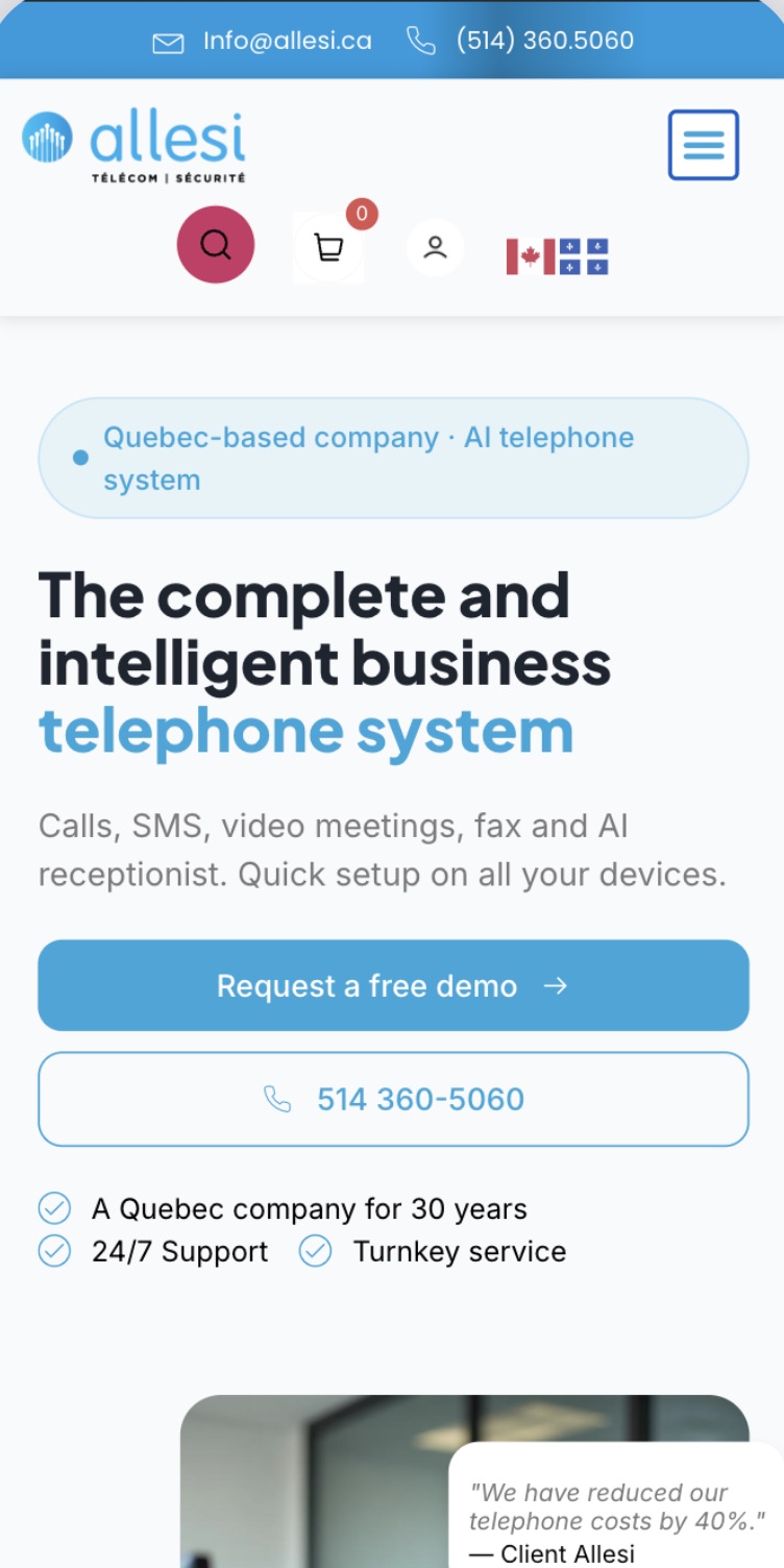 Allesi landing page before the rebuild
